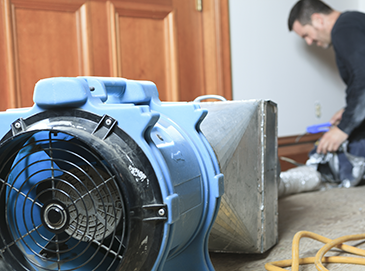 Dehumidifying a House in Crystal Lake, IL